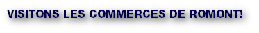 VISITONS LES COMMERCES DE ROMONT!